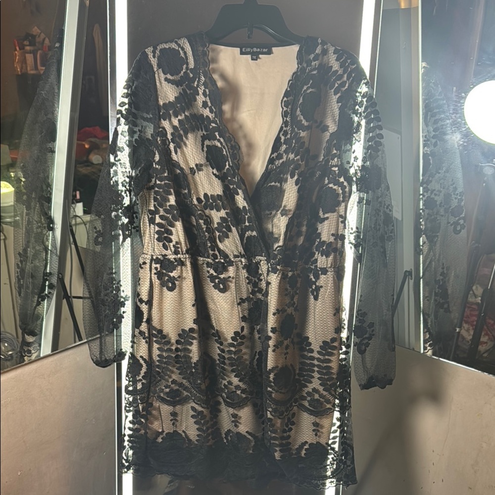 Black Lace Long Sleeve Plunge Neck Mini Dress